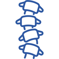 Spine